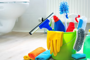 Messie Reinigung Regensburg